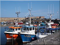 NT6779 : Colourful Fishing Boats in Victoria Harbour Dunbar by Jennifer Petrie