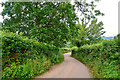 ST1703 : East Devon : Country Lane by Lewis Clarke