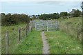 A pair of large kissing gates, Bryngwyn branch slate trail