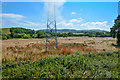 Williton : Grassy Field