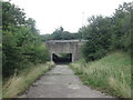 Underpass, Challenge Way near Chidswell