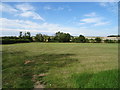 Grassland near Brickwall Farm