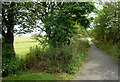 Footpath by the A92