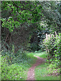 TQ0592 : Footpath north of Cooks Wood (2) by Mike Quinn