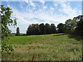 Farmland towards Boxted Church