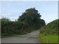 Access road to Hessaford Farm