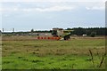 NU2025 : Harvesting wheat near Brunton by Graham Robson