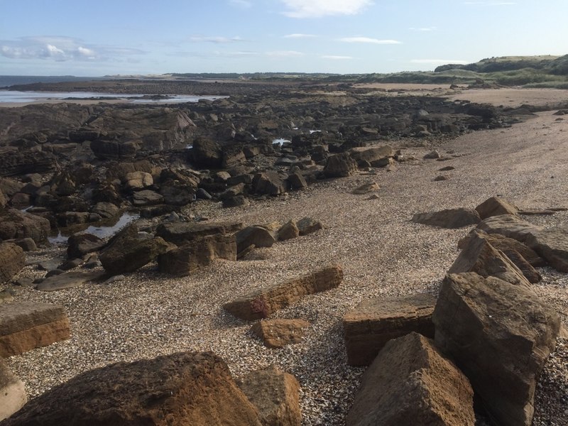 Beach, Gullane Point © Richard Webb :: Geograph Britain and Ireland