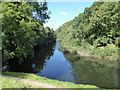 The River Teifi at Cilgerran