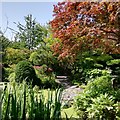 SJ4087 : Japanese Garden, Calderstones Park by Sue Adair