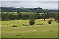 Farmland, East Mains