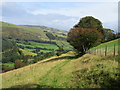 Bridleway crossing the slopes of Cefn Hirfynydd