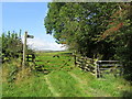 Entrance to field and bridleway