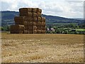 SO9144 : Straw bales by Philip Halling