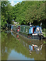 Moored narrowboats north of Danebank in Cheshire