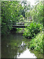 The River Colne downstream of Drayton Ford Bridge