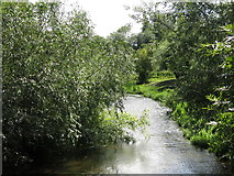 TQ0493 : The River Colne south of Springwell Lane by Mike Quinn