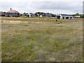 Holiday park from the England Coast Path