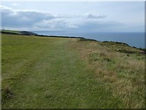 SS1915 : South West Coast Path on Vicarage Cliff by David Smith