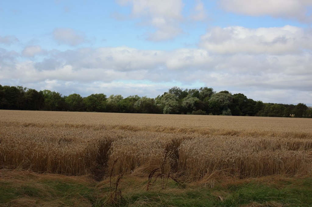 Other Words For Arable Land