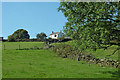 Cheshire pasture north-east of High Lane