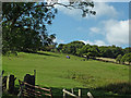 Cheshire pasture north-east of High Lane