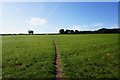 Path leading to Thurstonland Road