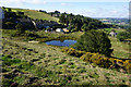 Pond at Thurstonland