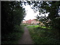 Footpath and Lily Lane housing