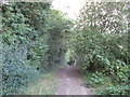 Footpath in Beacon Hill Conservation Park