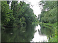 The Grand Union Canal by Lynsters Lake