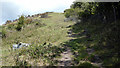 Footpath leading up to St Boniface Down