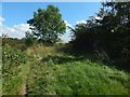 Path on Hurlet Hill