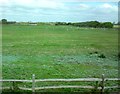 TQ6403 : Field near Pevensey Bay by Gerald England