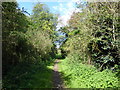 The line of the former Axholme Joint Railway