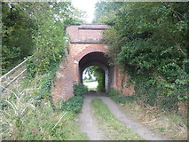 SE7701 : Rocket Lane passing under the former Axholme Joint Railway by Marathon