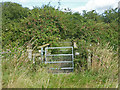 Public footpath near Whittington