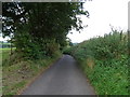 SJ7332 : Lane towards Chipnallmill Farm by JThomas