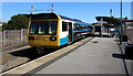 ST1166 : Class 142 dmu at Barry Island station by Jaggery