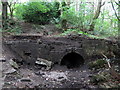 Industrial archaeology, Cockshot Dene, West Wylam