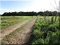 Farm track, Kelham Hills