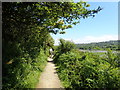 SN0539 : Wales Coast Path on the west side of the Nyfer by Eirian Evans