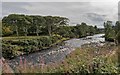 River Brora at Fascally