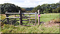 Gate to a footpath leading down into Pont-rhyd-y-groes