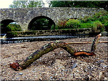 H4772 : Stick resting on a raised gravel bed, Camowen River by Kenneth  Allen