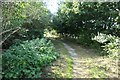 The lakeside path, Oakhill nature reserve