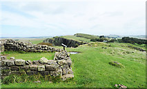 NY6766 : Hadrian's Wall Path passing turret 45A by Trevor Littlewood