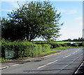 Dark green cabinet in a hedge, Eglwys Brewis, Vale of Glamorgan