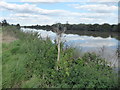 Looking across the River Trent at Owston Ferry