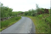NX1965 : Minor road passing the Loups of Barnshangan by Graham Robson